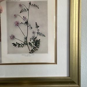 🖤 5/$25 Antique Botanical Print Original Floral Natural Home Decor